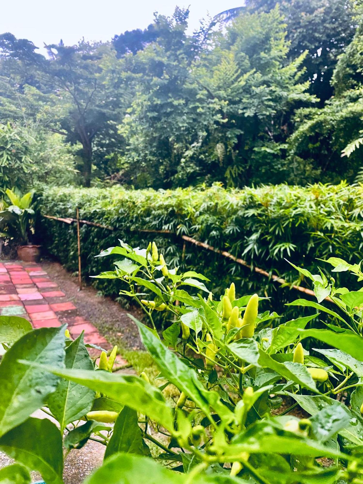 Ko Lanta 班隆哈德旅馆旅舍 外观 照片